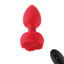 PLUG ANAL COM LED E CONTROLE REMOTO