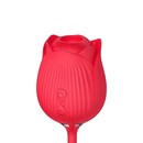 Vibrador Hortênsia 2 em 1