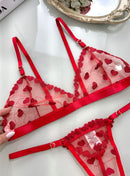CONJUNTO AMÉLIA