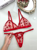CONJUNTO AMÉLIA